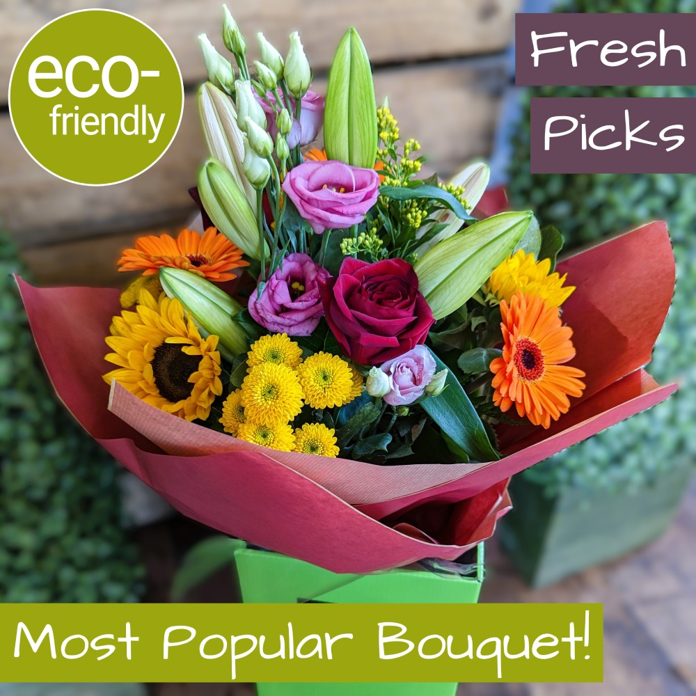 Through the Rainbow - Eco-friendly Through the Rainbow - Eco-friendly