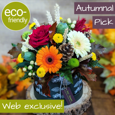 Autumnal Hat Box, Eco-Friendly Product Image
