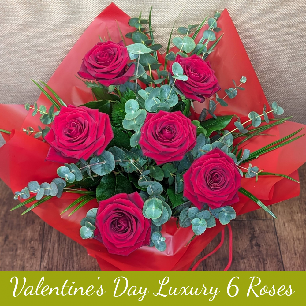 Six Luxurious Red Roses