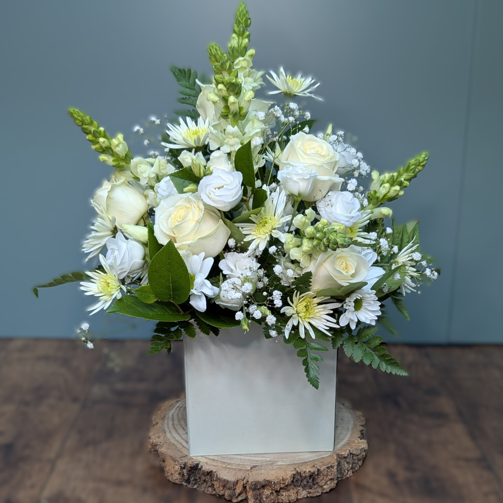 Boxed Arrangement, Neutral (front-facing)