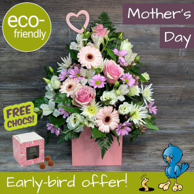 Mother's Day Pastel Flowers & Truffles | Darlington Florist - Darlington Mother's Day Special! Pretty pastel boxed flowers with free truffles. Unique, eco-friendly design. Order early for delivery or Click & Collect! First for Flowers